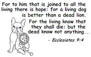 Ecclesiastes 9:4