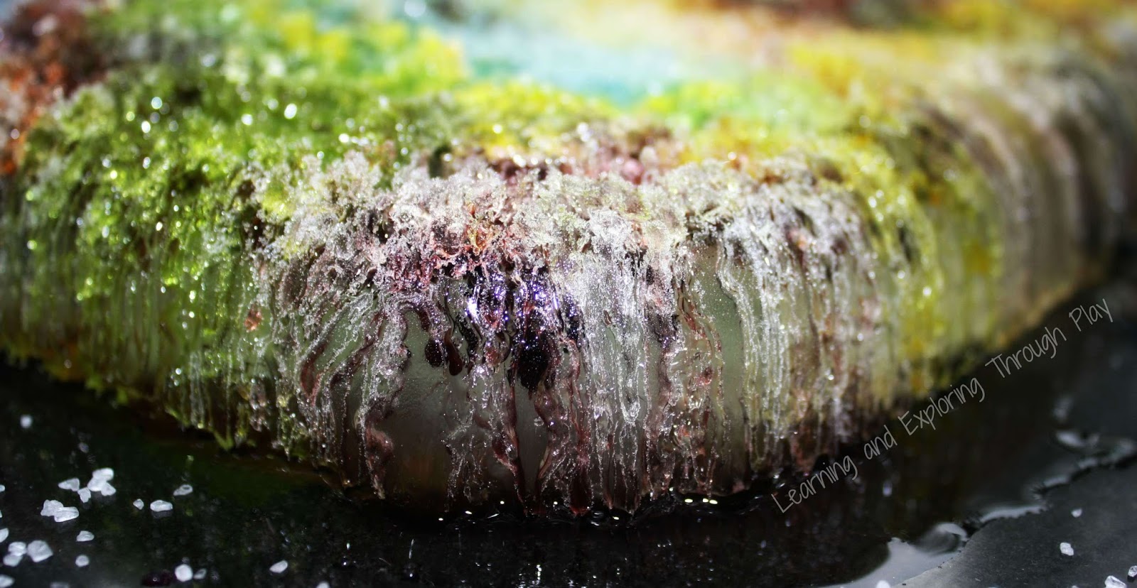 Learning and Exploring Through Play Ice and Salt Experiment for Preschool