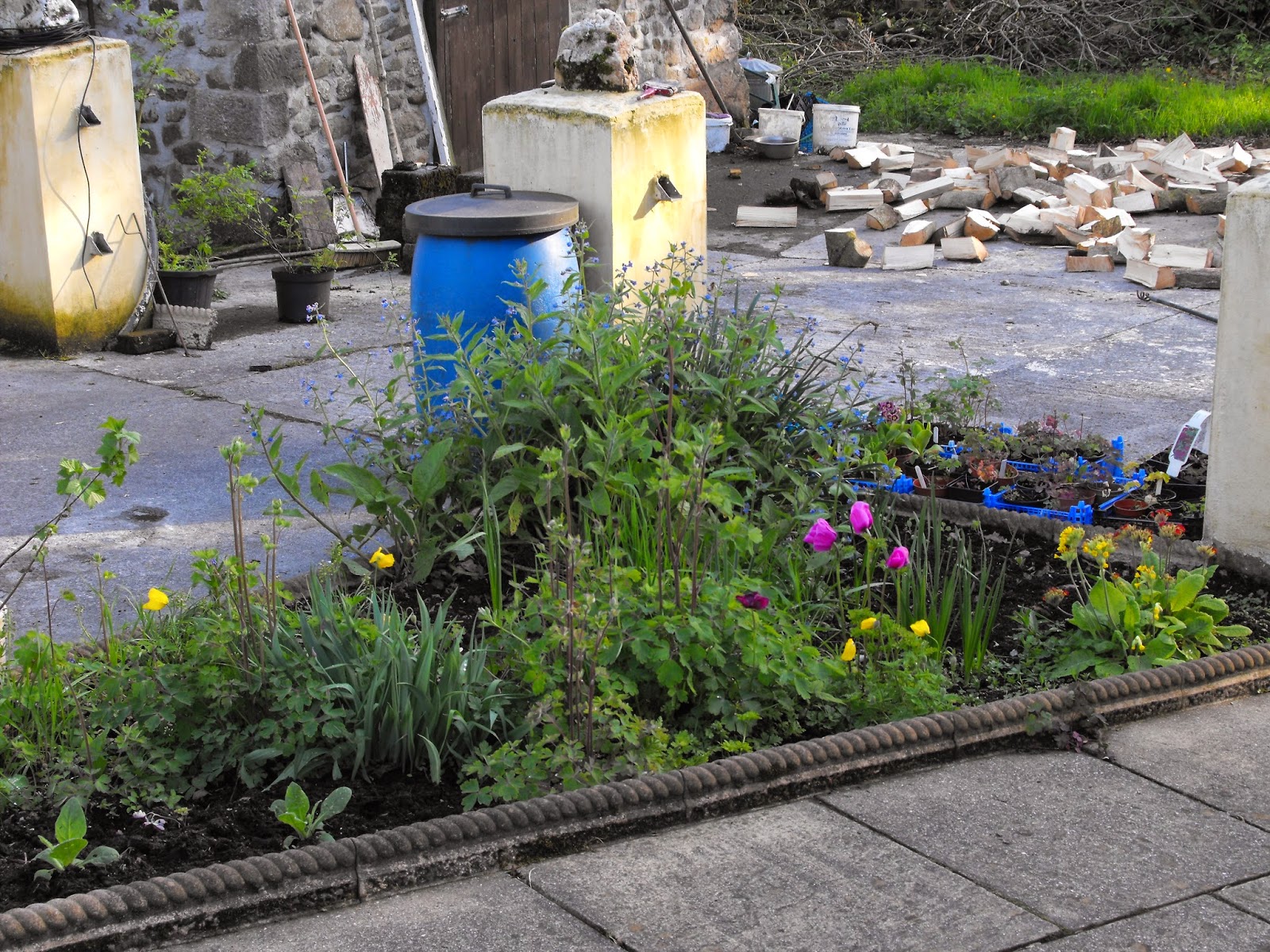 Codlinsandcream2: May 2014