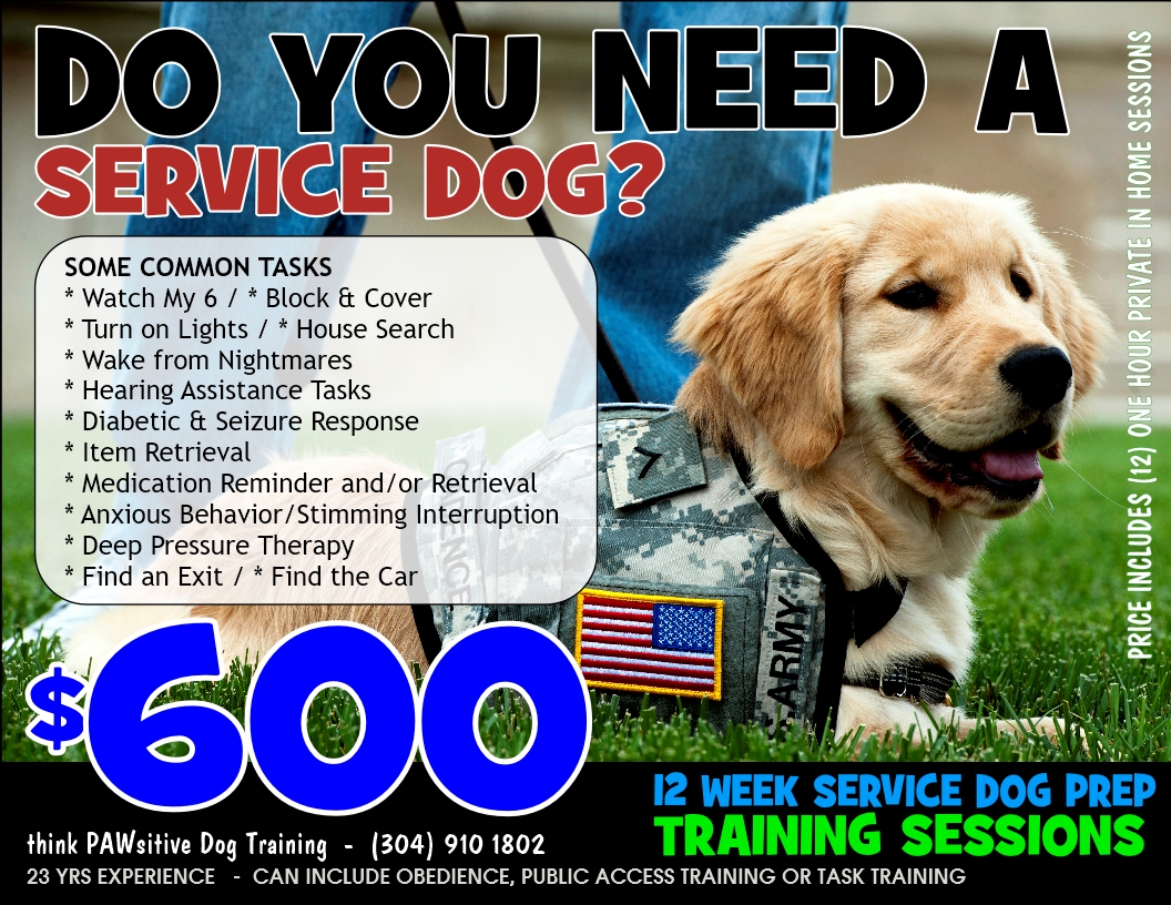 Diabetic Service Dog Trainers Near Me DiabetesWalls Diabetic Service Dog Trainers Near Me DiabetesWalls