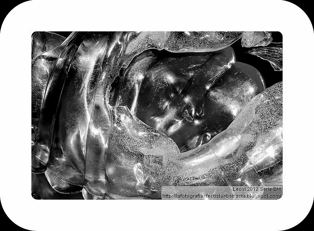 Foto Abstracta 3164 Crees que el amor es deshojar corazones - You think love is defoliate hearts Foto Abstracta 3164 Crees que el amor es deshojar corazones - You think love is defoliate hearts