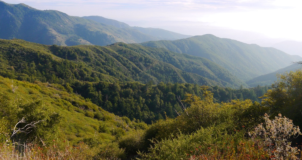 Peaks For Freaks: Wild Horse Peak, Agua Benchmark, Eagle Crag, Agua ...
