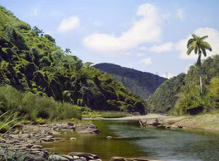 paisajes-rios-naturales-pintados