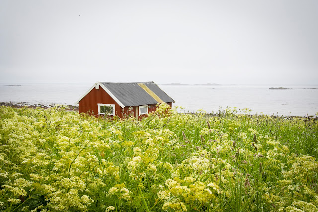 Eggum-Isola Lofoten