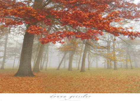 Autumn Mist9