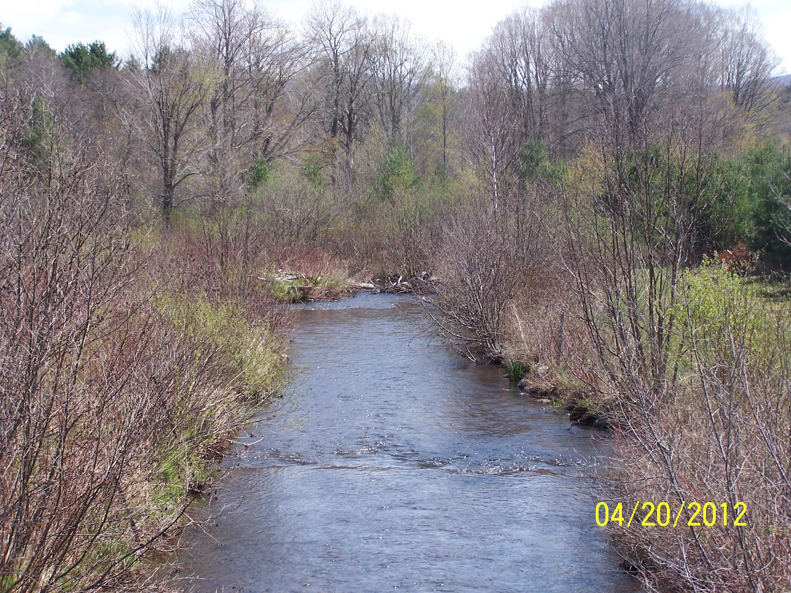 Vermont Fly Fishing Vermont Brook Trout Fishing