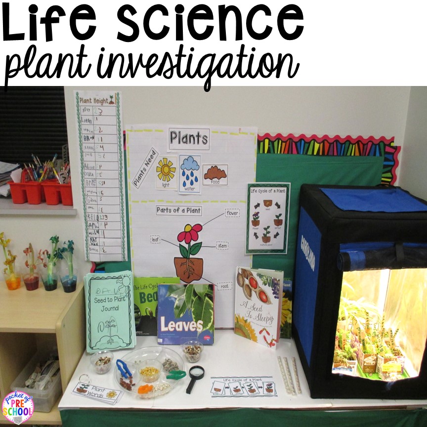How to set up the Science Center in your Early Childhood Classroom