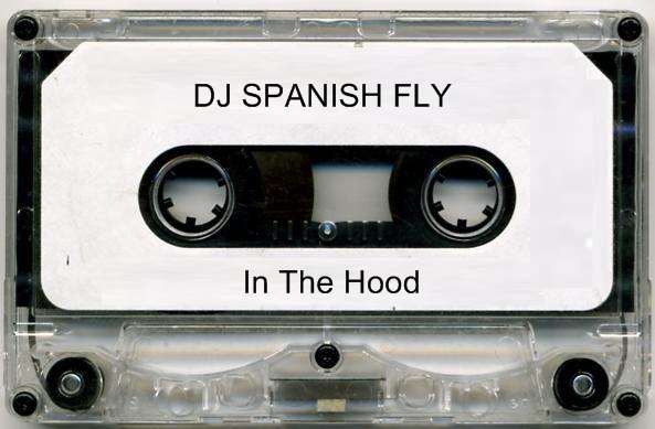 http://2.bp.blogspot.com/-vxbt2lT7hDM/Ui991ez_SSI/AAAAAAAAABM/KqjQrJTJ8zg/s1600/dj+spanish+fly+in+the+hood.jpg
