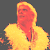 Ric Flair