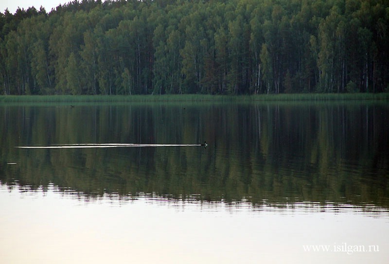 Озеро Тайги. Челябинская область