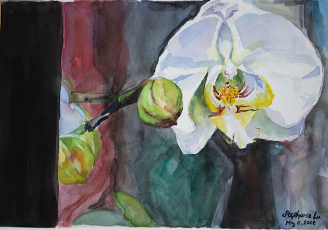 [Image of a watercolor painting of a white orchid and an orchid bud next to it. Background is a wash of different colors. Signature in lower left corner "Stephanie Lu" with date May 11, 2008.]