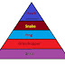 Echological pyramid types and echology in hindi पारिस्थितिक पिरामिड के प्रकार और पारिस्थिकी