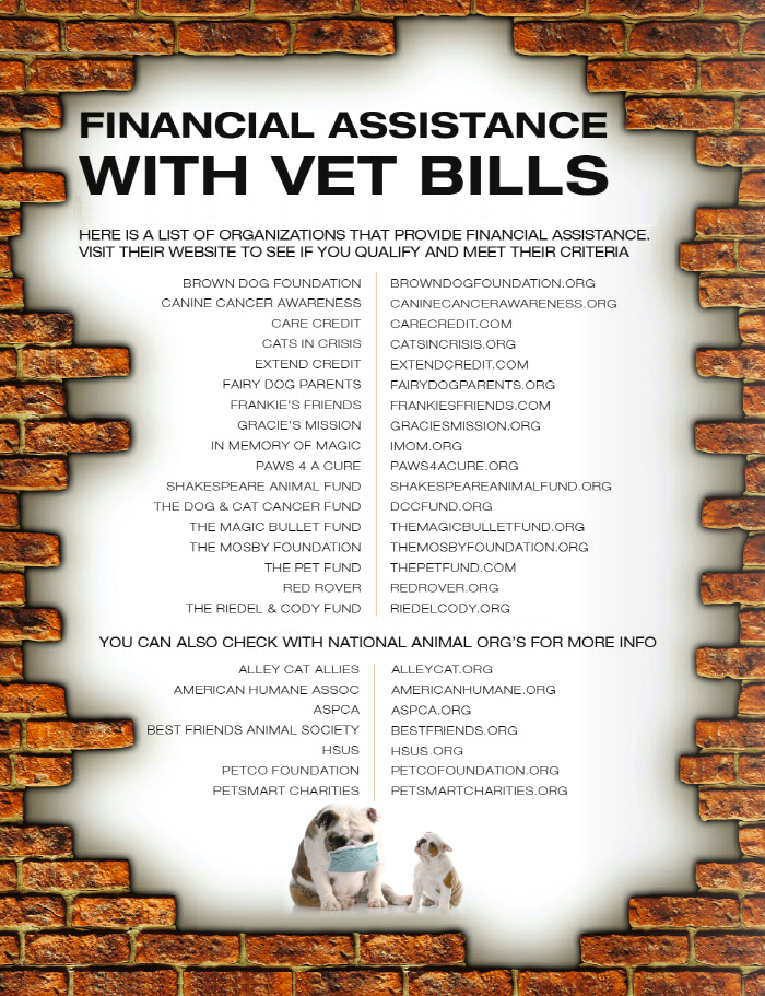 contingency plan for vet bills