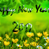Happy New Year Images, Pictures, Wallpapers
