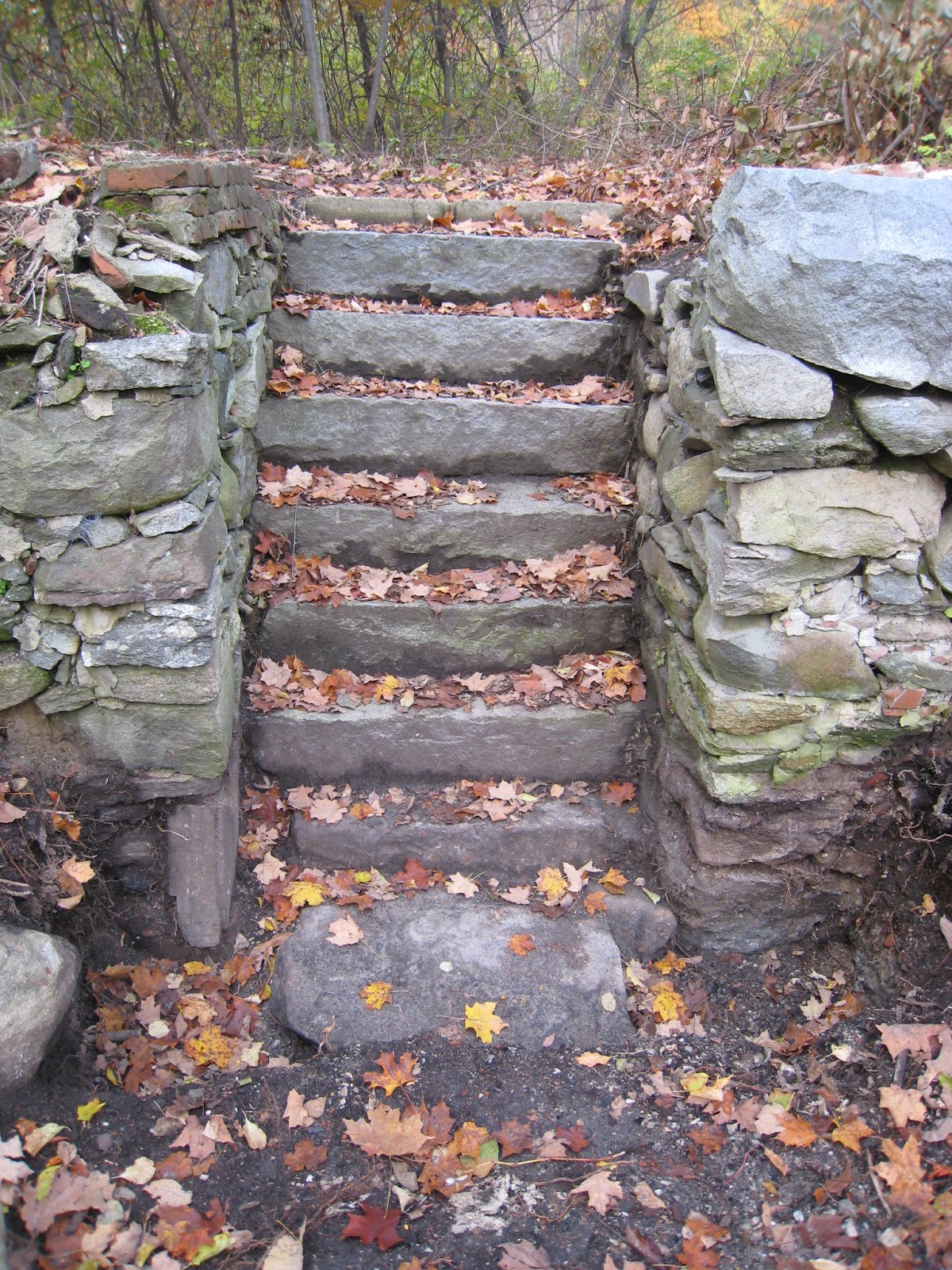 Maynard Life Outdoors and Hidden History of Maynard Trail Of Flowers