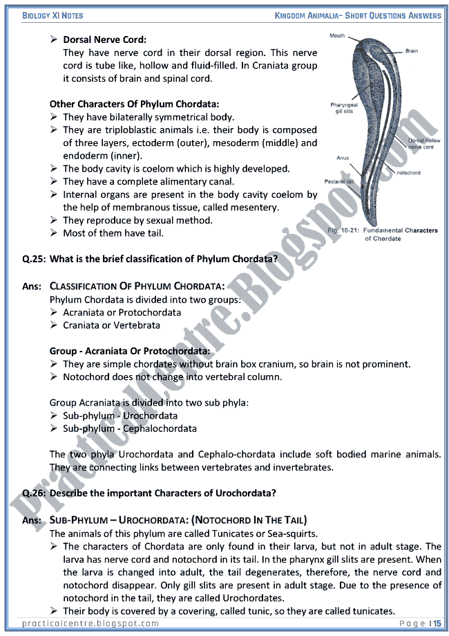 Kingdom Animalia - Short Questions Answers - Biology XI