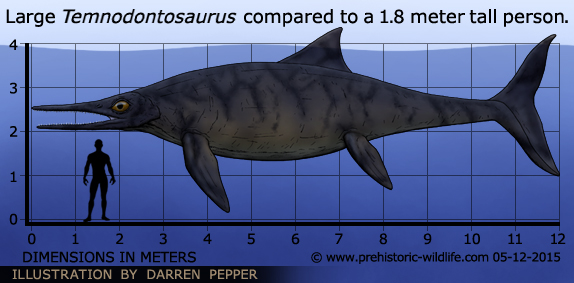 Μεγάλη ανακάλυψη | Ιχθυόσαυρος 152 εκατ. ετών στην Ινδία