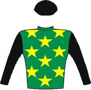 The Conglomerate THE CONGLOMERATE - Horse - South Africa - Emerald green, yel.stars, black sleeves and cap