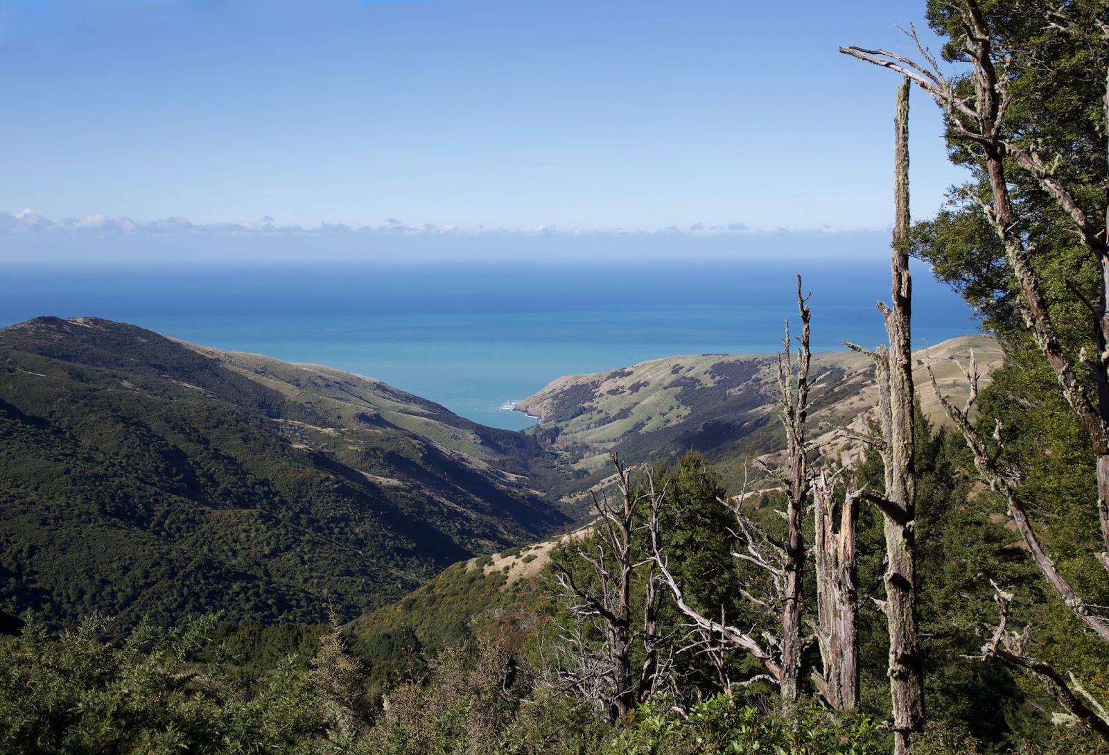 Nature Scribe The Banks Peninsula Track 3 More Ups Than Downs