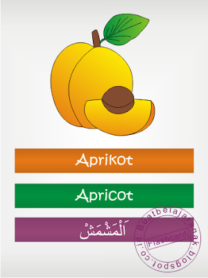 Belajar Mengenal Buah  buahan Dalam Bahasa inggris dan 