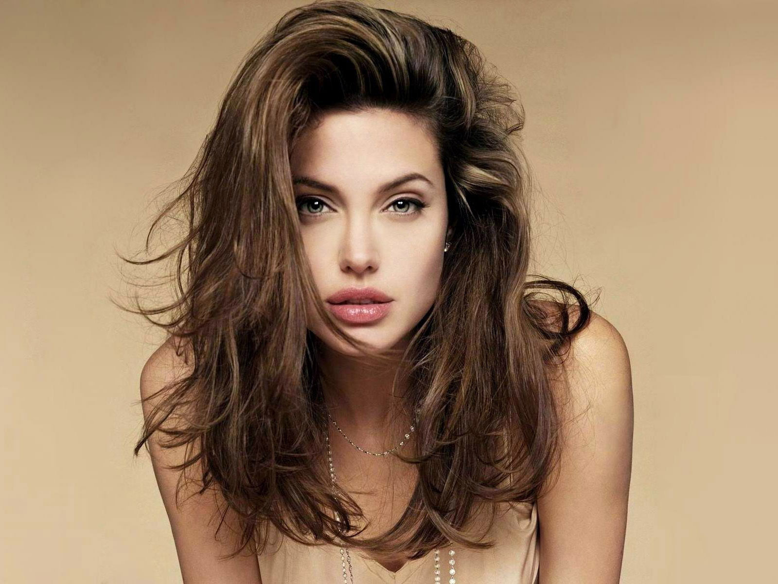 http://2.bp.blogspot.com/-vzSHMHywJLA/UCGmOVSTMyI/AAAAAAAAHVU/MSLQ5Ikh9i8/s1600/Angelina-Jolie-Hollywood-Celebrity.jpg