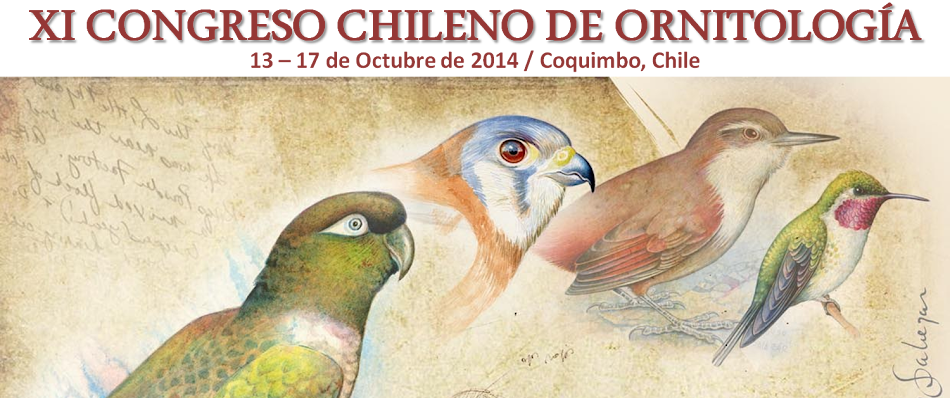 XI Congreso Chileno de Ornitología