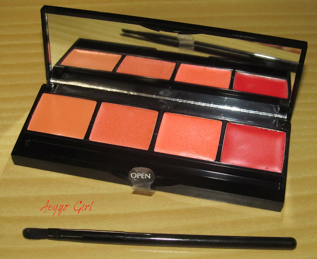 The Beauty Sweet Spot REVIEW Pastel Profashion Rouge Palette No.3