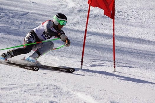 Skier Turning Left number 658