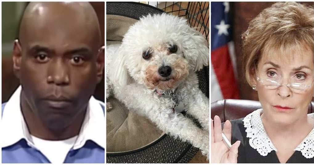 Judge Judy Lets Stolen Dog Run Loose In Courtroom To Identify His One