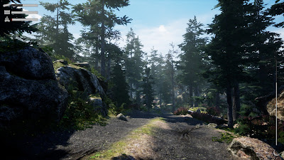 Before Nightfall Summertime Game Screenshot 3