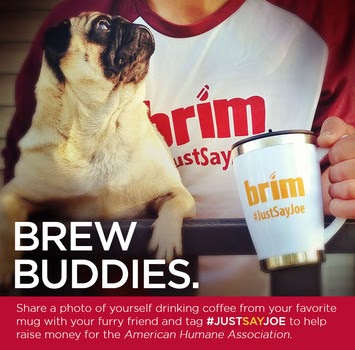 brew, canine, dog, Brim, coffee, American Humane Society, Tori Spelling, joe, twitter, instagram, facebook, #justsayjoe, 