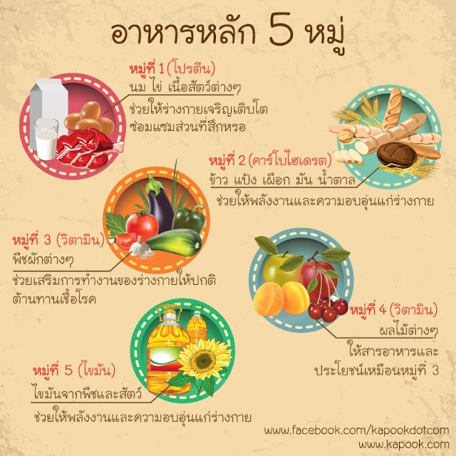 สารอาหารที่ควรได้รับ ประจำวัน THAI RDI