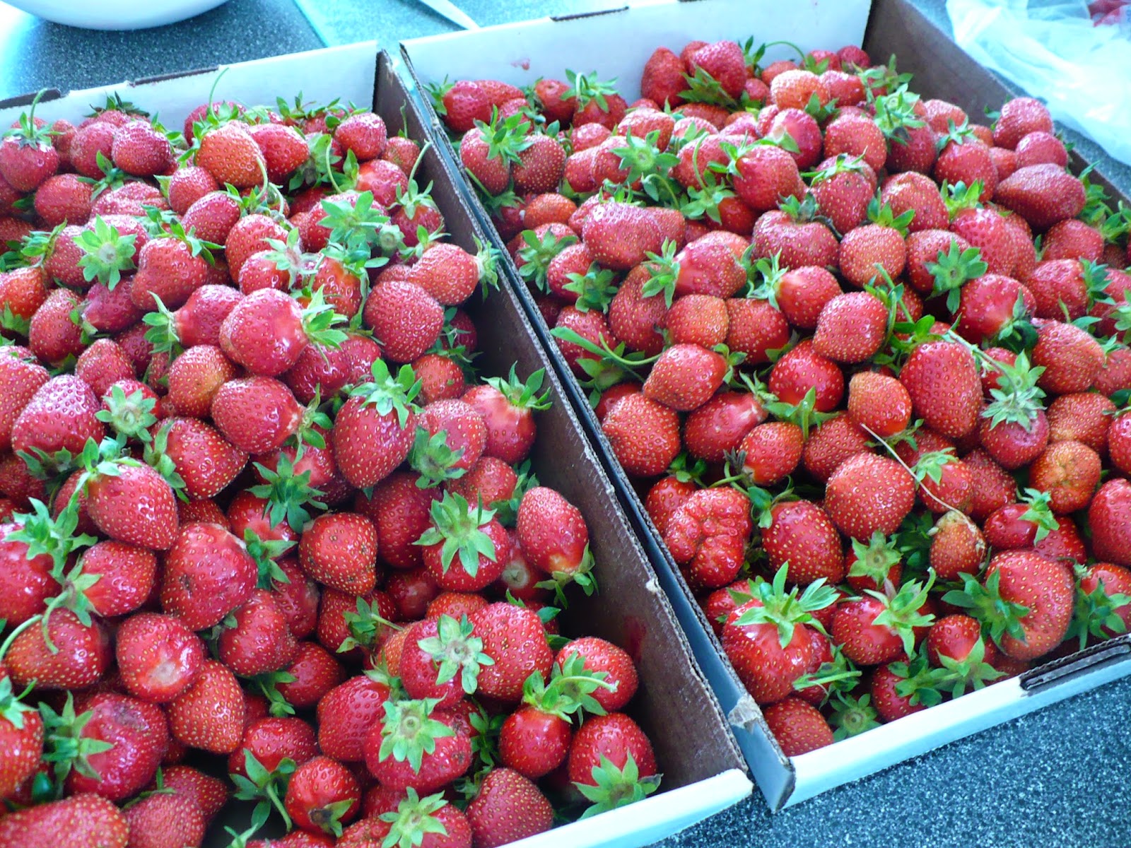Mom Explores Michigan Strawberry Picking at Rowe's Produce Farm and