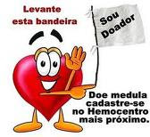 DOE SANGUE DOE VIDA