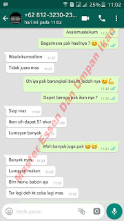 Essen Ikan Mas Paling Jitu Dari Master Essen Essen Ikan Mas Paling Jitu Dari Master Essen