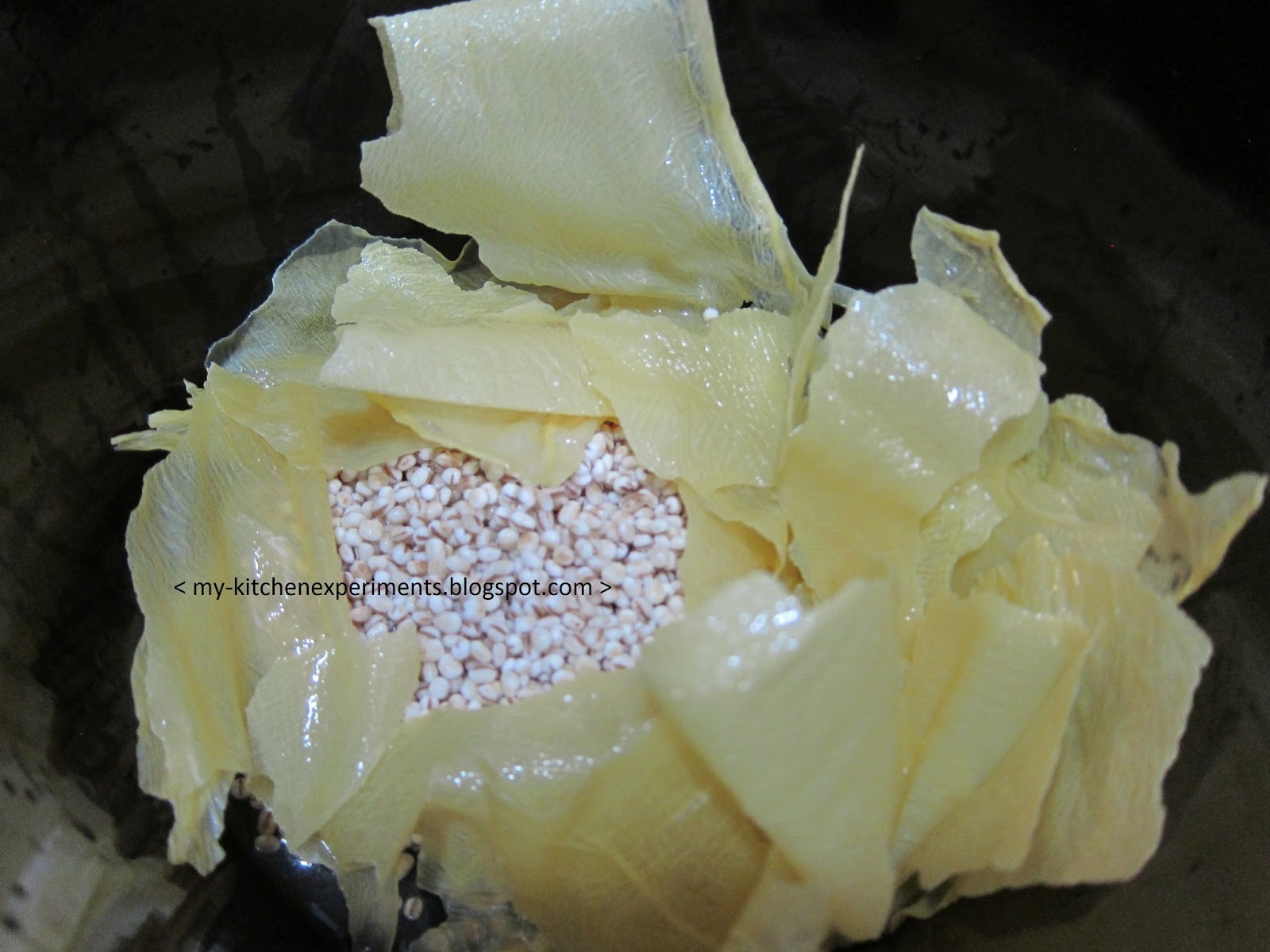 My Kitchen Experiments Barley Dessert Soup with Dried Bean Curd Sheet