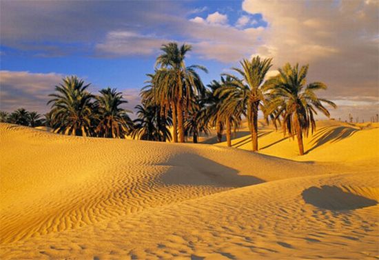 Top 10 Controversial topics about Global Warming | Top 10 List Top 10 Controversial topics about Global Warming | Top 10 List