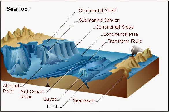 Sangat yang dasar dalam sempit morfologi disebut memanjang terjal laut dan bismillah: MORFOLOGI
