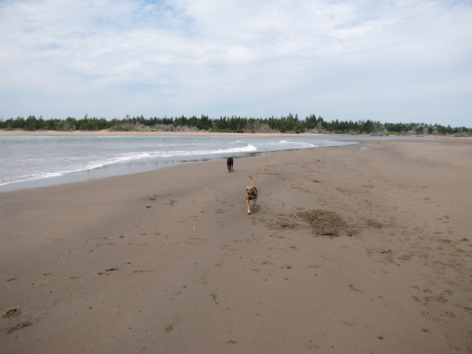 Passage to Sackville. Beaches and hills.