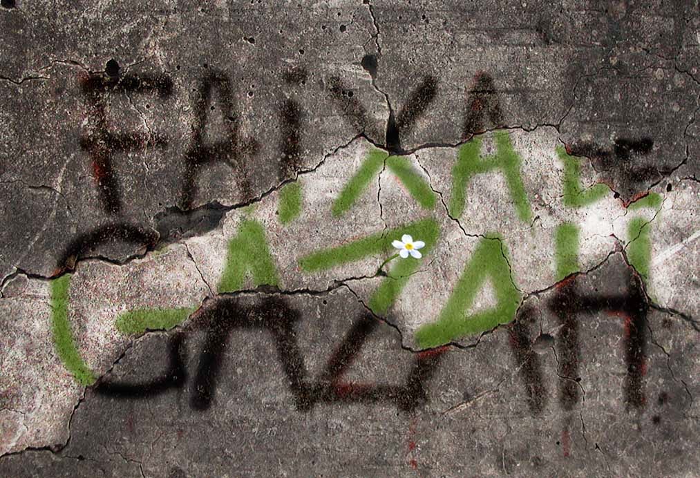 Meu bairro e a Faixa de Gaza