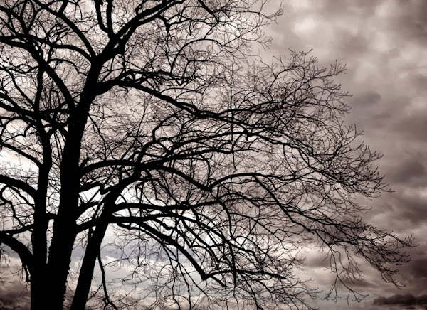 ZARA HOME FALL WINTER 13