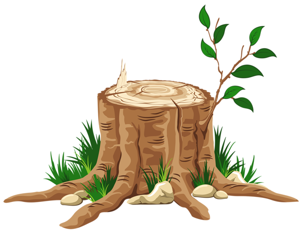 Blog Catolico Navideno Imagenes De Troncos De Arboles