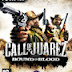 Donwload Game Call Of Juarez Bound In Blood Full RIP