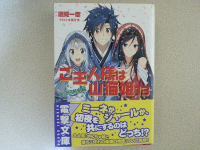 [Novel] ご主人様は山猫姫 第01-11、13巻 [Goshujin-sama ha Yamaneko-hime vol 01-11、13] rar free download updated daily