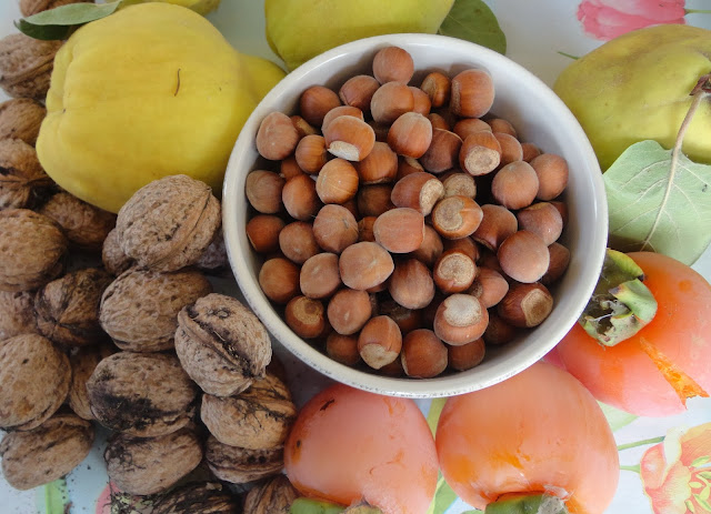 COSECHA DE NUECES Y AVELLANAS