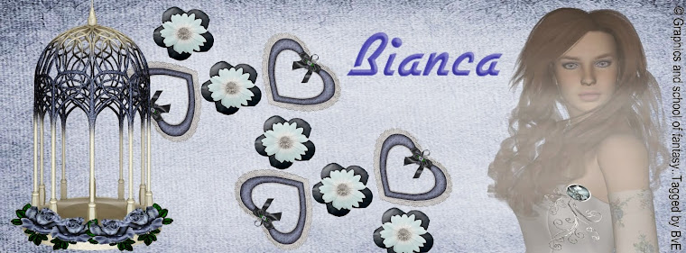 Bianca's Creationz