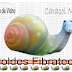 Forma / Molde Fibra Vidro Fazer Caracol Modelo 01