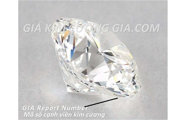 kien-thuc-co-ban-phan-biet-kim-cuong-that-gia kien-thuc-co-ban-phan-biet-kim-cuong-that-gia