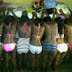 Enugu Varsity Students Attract Men With Nude Pictures In Hotels