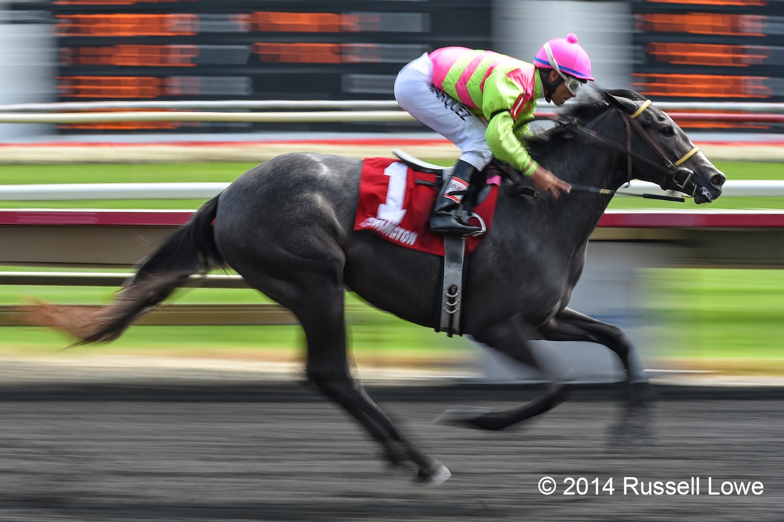 "The Way I See It" Arlington Park Horse Racing 81714